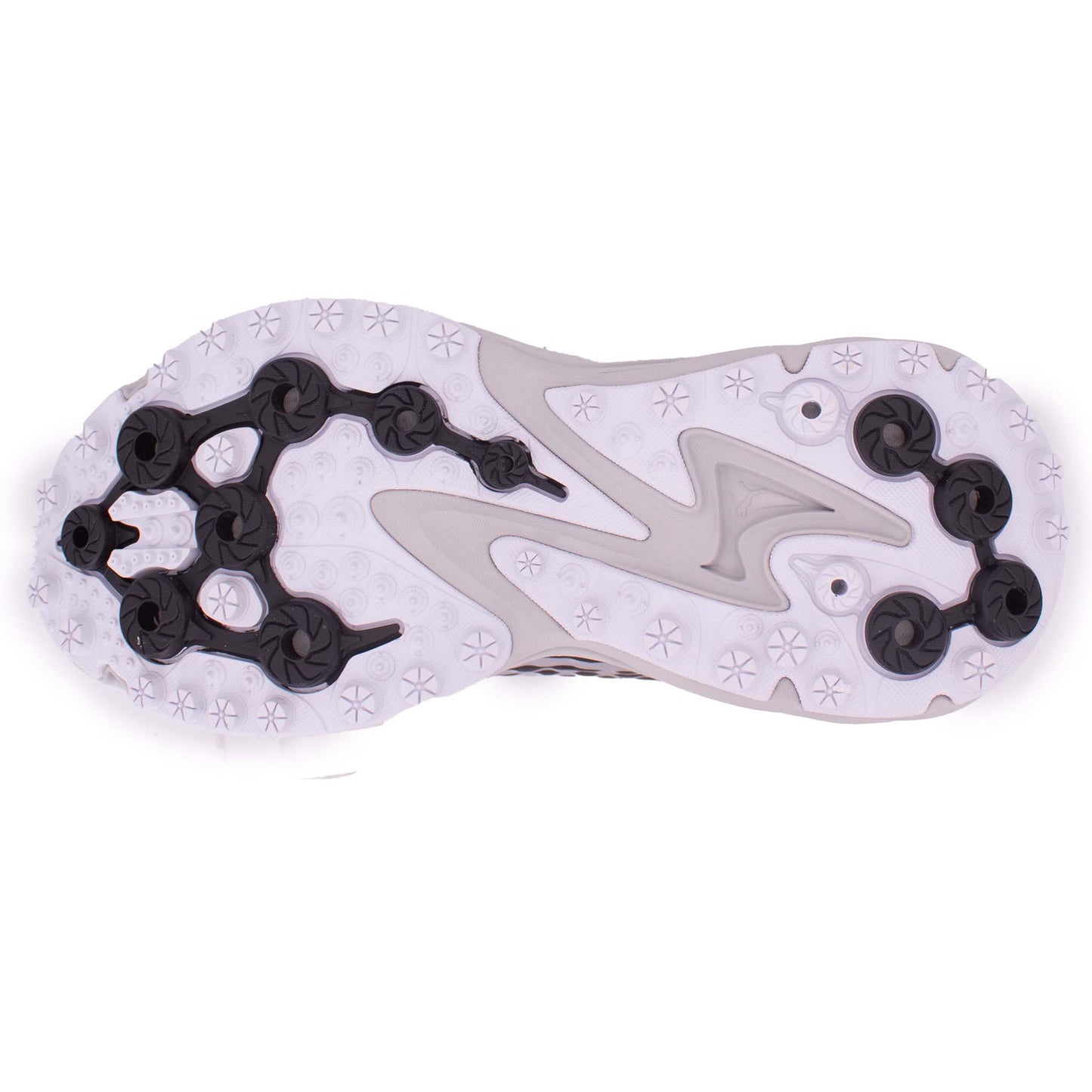 Puma Spirex Speed Schuhe 397263-02