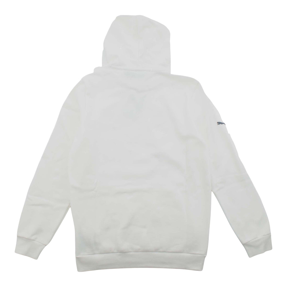 PUMA BMW MMS Motorsport ESS HOODIE Fleece Pullover Herren Kapuzenpullover