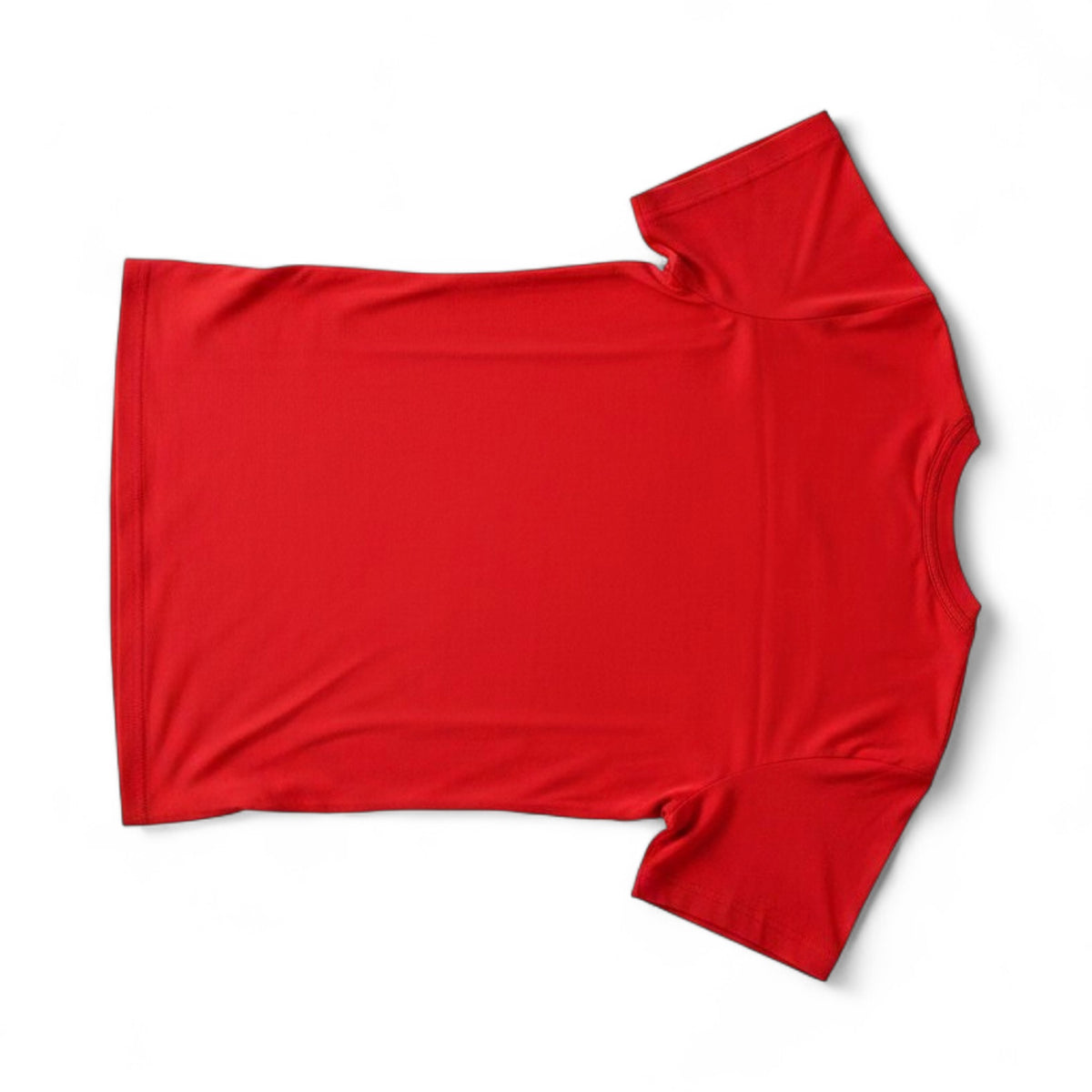 Puma SRFC Stade Rennais Prematch SS Jer Shirt